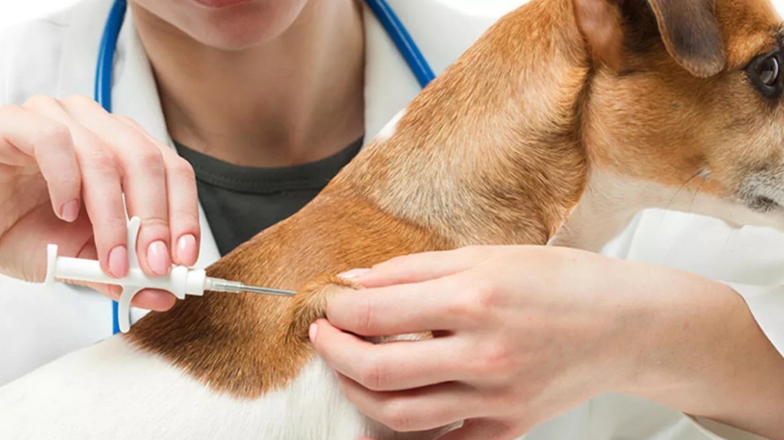 YETERLİ ÇİP SAYISINA ULAŞILAMADI