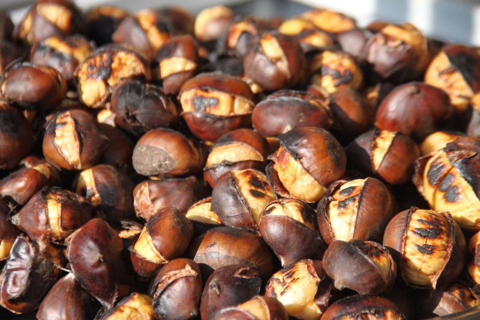 Elazığ’da Yılbaşı öncesi‘Kestaneye’ talep arttı