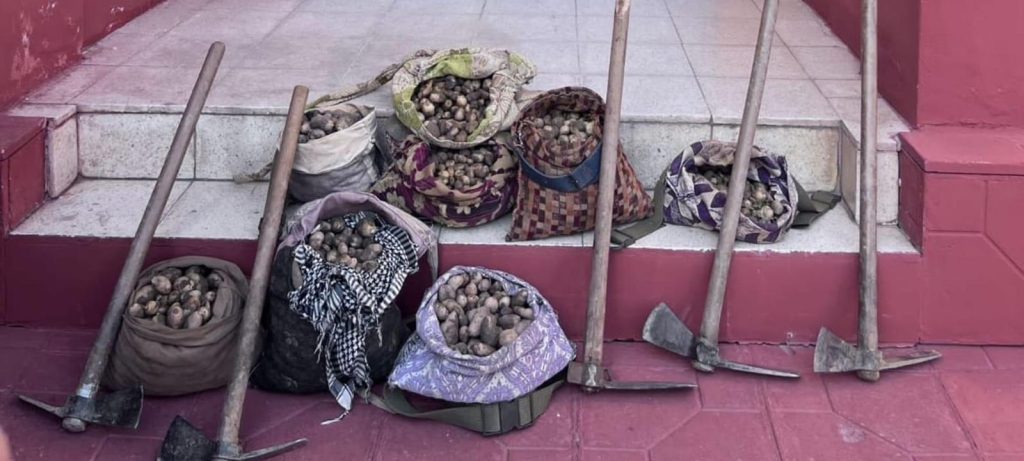 Elazığ’da salep soğanı toplayan 6 kişiye ekipler tarafından 678 bin lira para cezası kesildi.