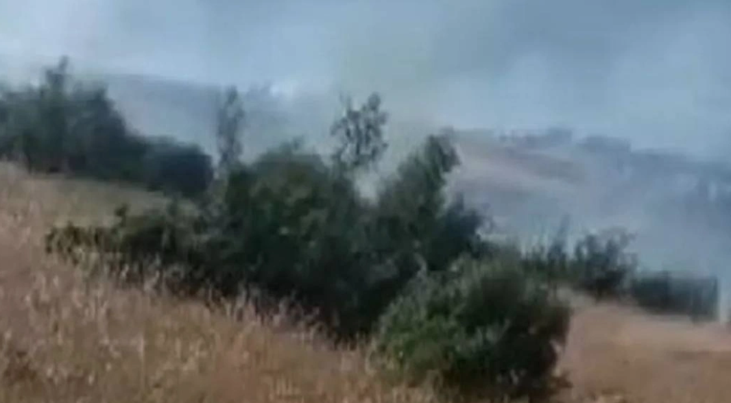 Kilis’te orman ve örtü yangını