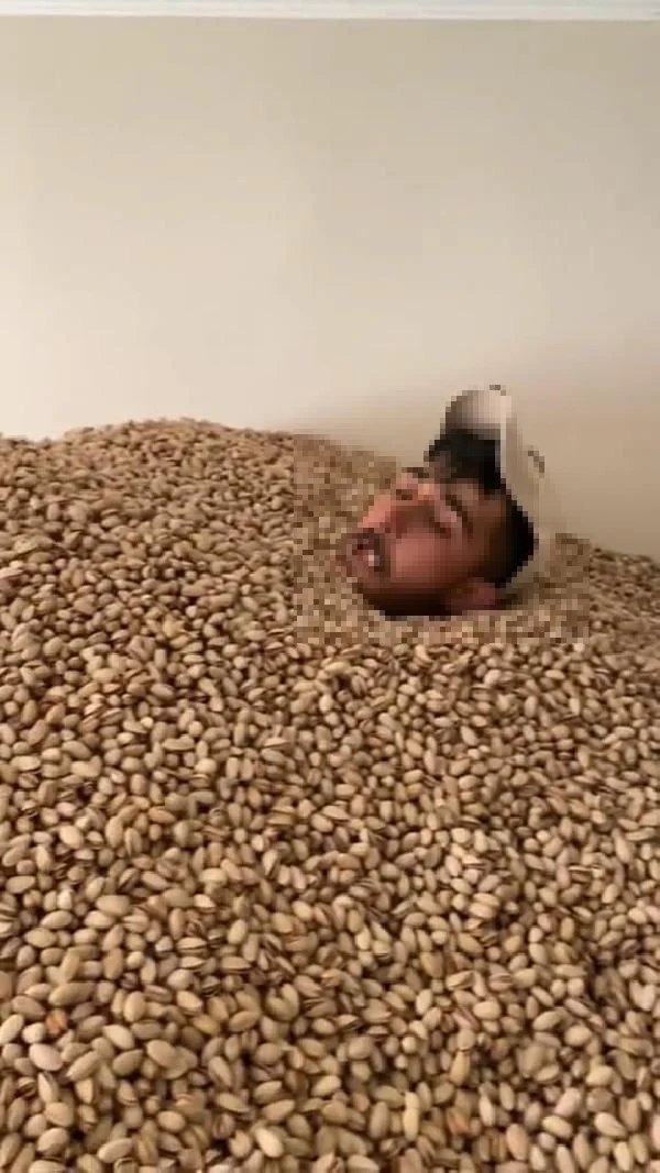 Fıstık banyosunun sonu kötü bitti!