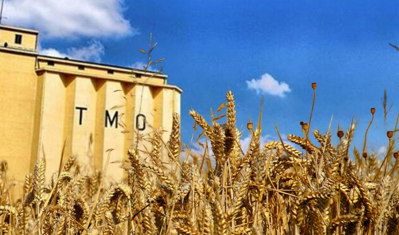 Bu kadar hububatı kim nasıl çalar?