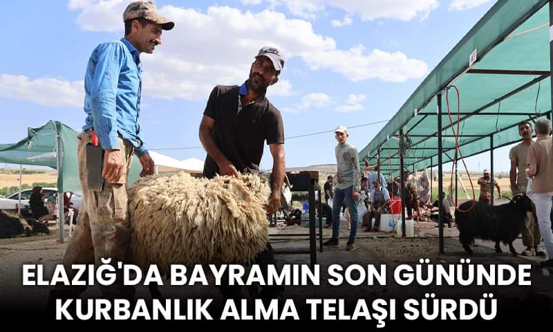 Bayramın Son Gününde Kurbanlık Alma Telaşı Sürüyor