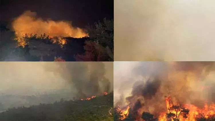 4 İlde Yangın Mücadele: “Çanakkale,Bolu,Mersin Ve İzmir Orman Alev Aldı”