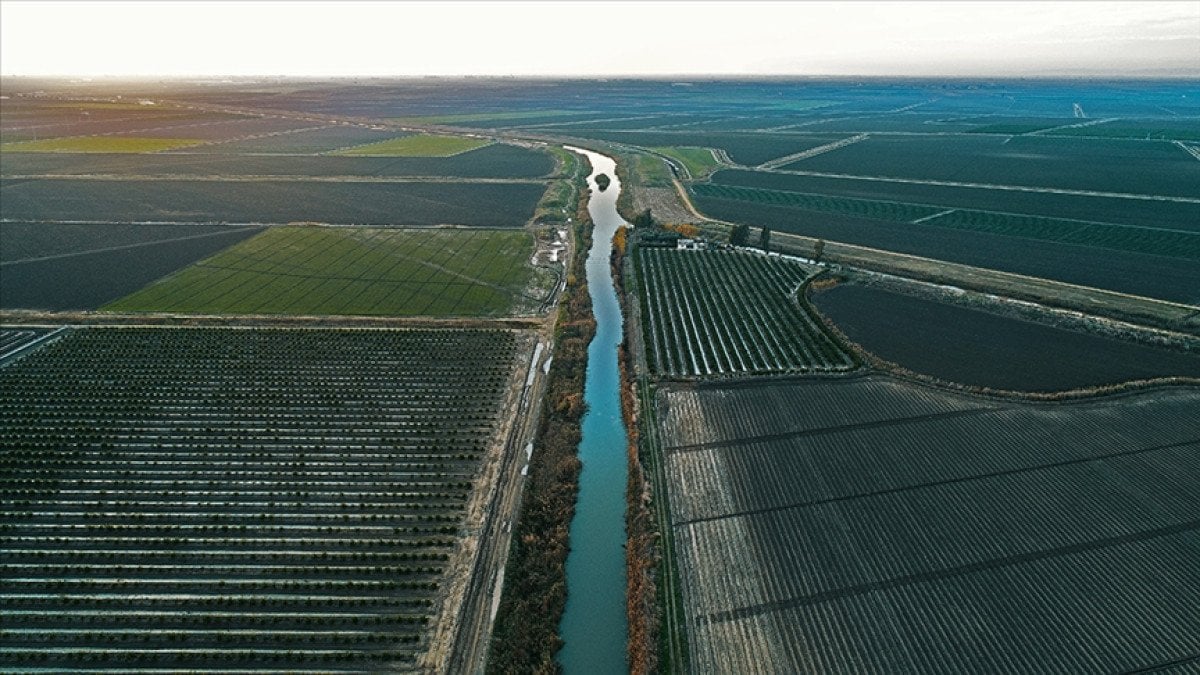 Resmi Gazetede Yayımlandı: Tarım Arazilerinin sezonluk Kiralama Uygulaması 