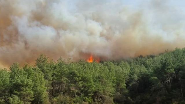 Bolu’ya Sıçrayan Yangın Kontrol Altına Alındı