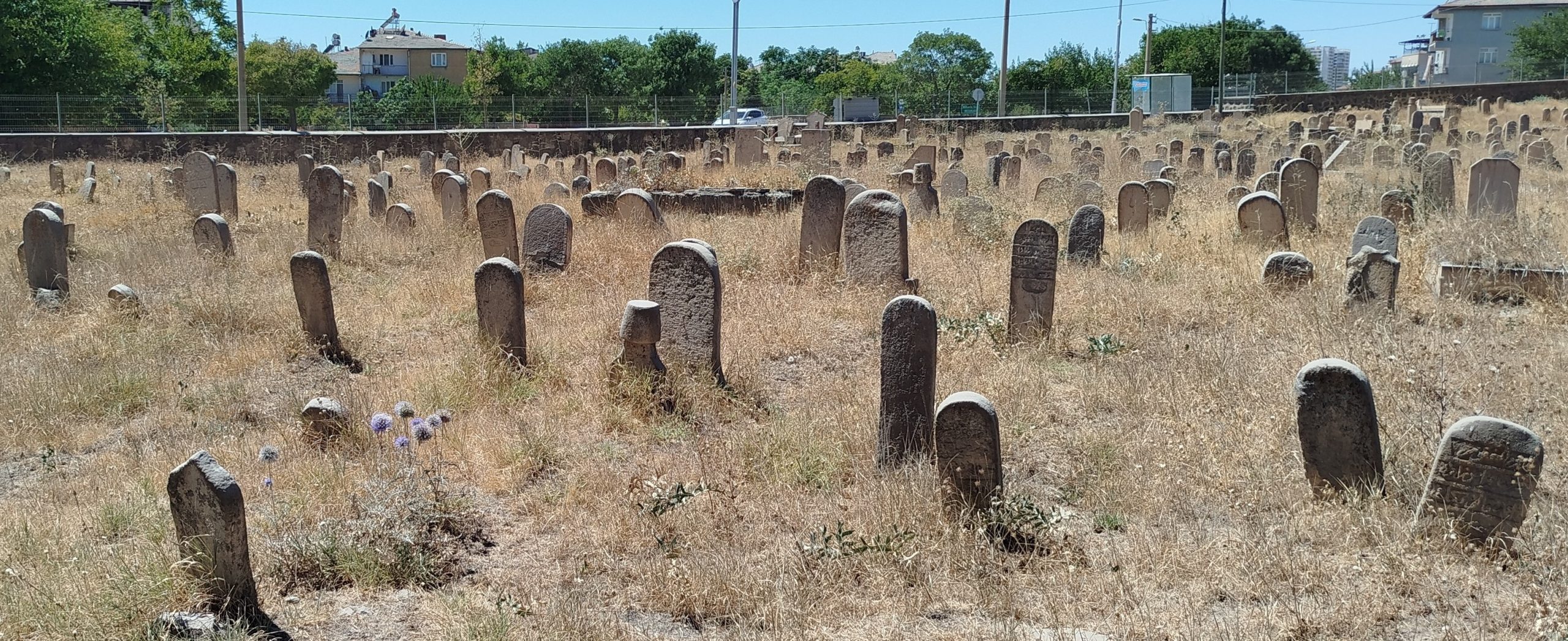 Elazığ Aksaray Mahallesi  her iki Mezarlık Kaderine Terk Edildi