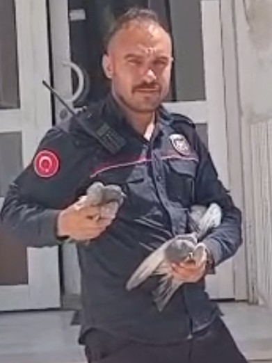 Elazığ İtfaiyesinden Güvercin Kurtarma Operasyonu