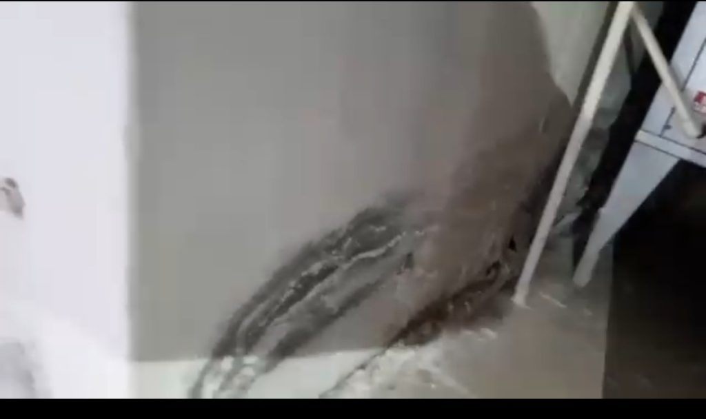 Elazığ’da TOKİ Sakinlerinden Tepki: “Bodrumu Su Basıyor, Kimse Umursamıyor!”