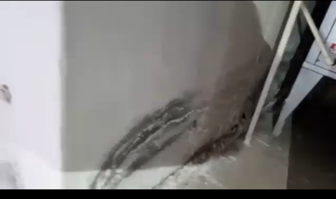 Elazığ’da TOKİ Sakinlerinden Tepki: “Bodrumu Su Basıyor, Kimse Umursamıyor!”