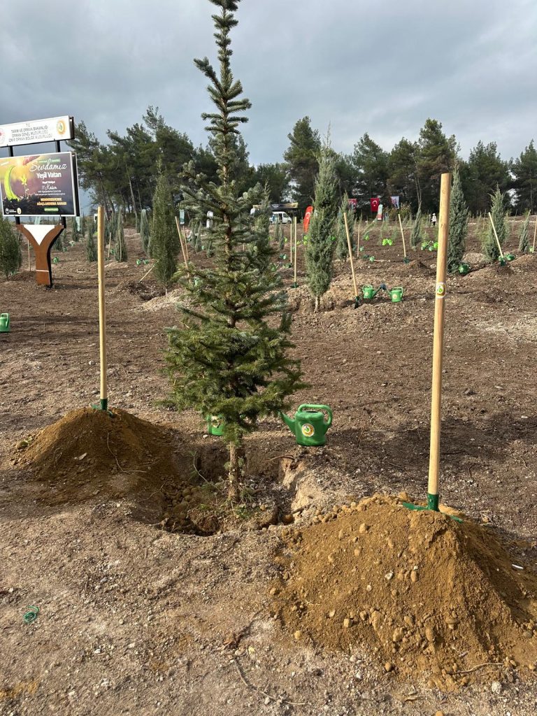 Ege Elazığlılar Derneği’nden Menderes’e 1.200 Çam Fidanı Bağışı