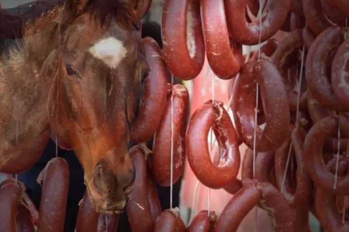 SKANDAL! VATANDAŞA AT ETİ YEDİRMİŞLER: BAKANLIK MARKAYI VE ÜRETİM İLİNİ AÇIKLADI