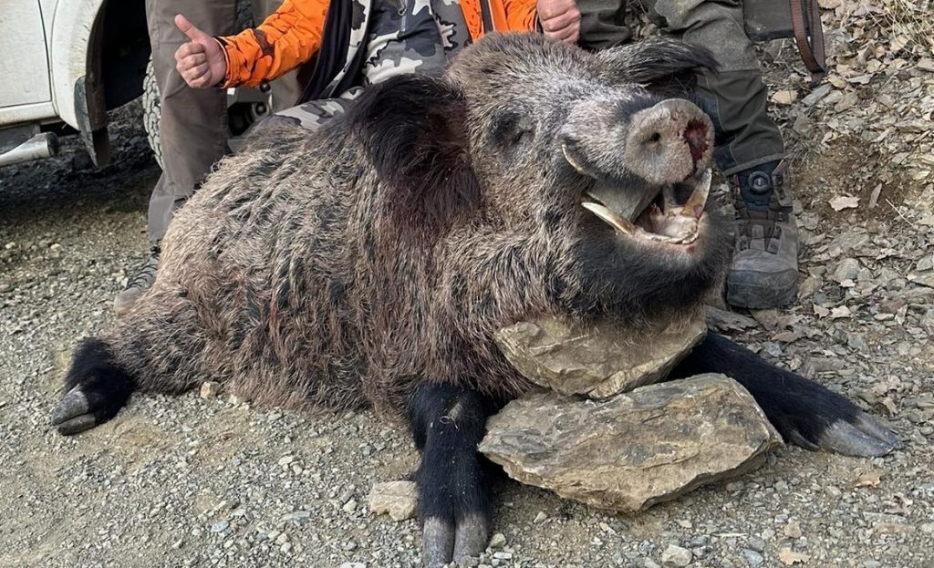 ELAZIĞ’DA AV TURİZMİ KAPSAMINDA ŞAŞIRTAN GÖRÜNTÜ