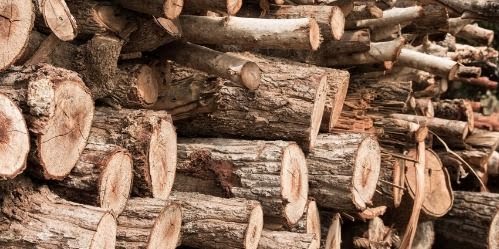 SOĞUK ARTTI, FATURALAR KABARDI: ELAZIĞ’DA ODUN VE KÖMÜR EL YAKIYOR