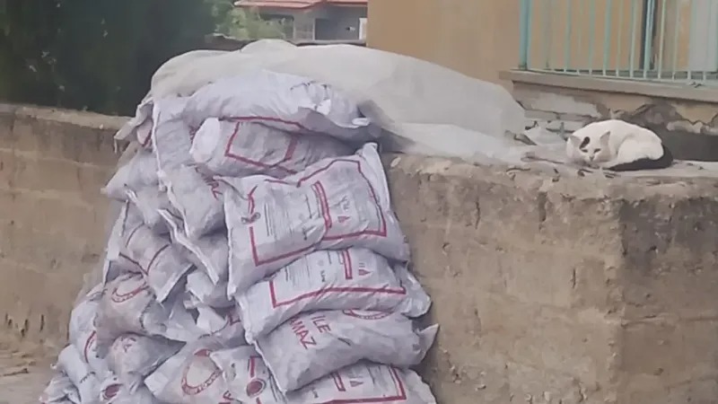 Cumhurbaşkanı Kararıyla Isınma Yardımı Resmileşti