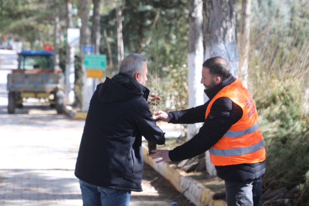 ELAZIĞ BELEDİYESİ’NDEN VATANDAŞLARA ÜCRETSİZ ÇAM FİDANI