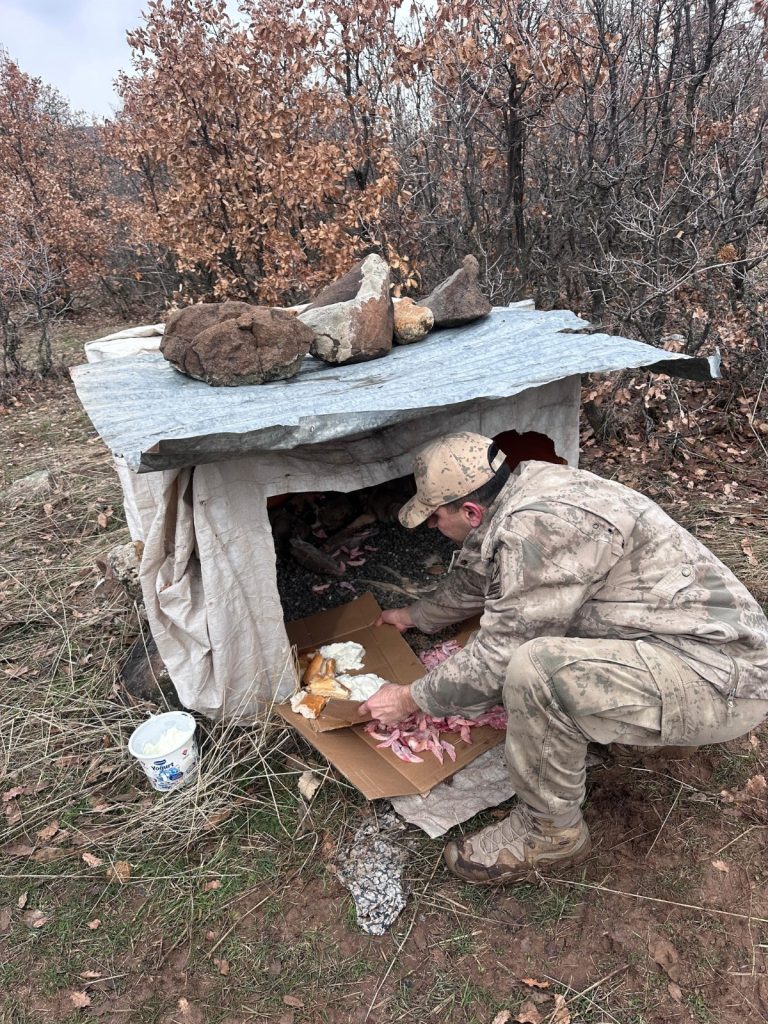 Karakoçan’da Jandarmanın Şefkat Eli: Ölüme Terk Edilen 7 Can Kurtarıldı