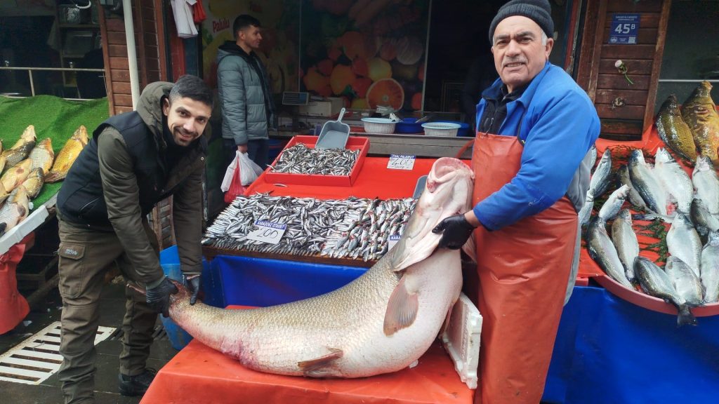 Elazığda bir ilk 90 kilo turna balığı yakalandı