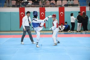 ELAZIĞ GENÇLİK VE SPOR İL MÜDÜRLÜĞÜ