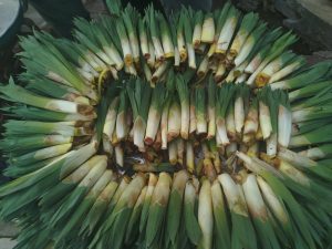 Elazığlılar 4 Gözle Bekliyordu