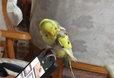 Derbiye saatler kala Elazığ’da gündem Müge Anlı