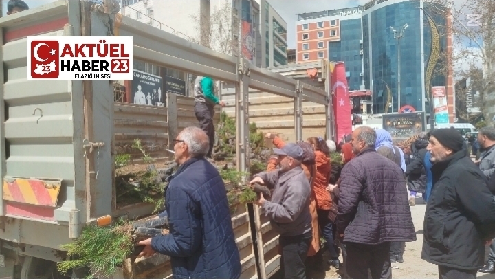 Elazığ orman müdürlüğü  vatandaşa kızılçam fidesi ücretsiz dağıttı