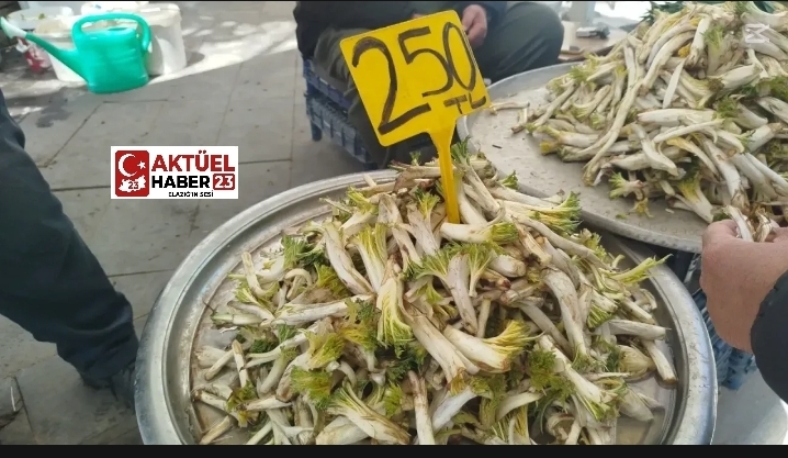 Elazığ’da Altınla Yarışıyor: Şifa Deposu Tezgâhta Yok Satıyor!