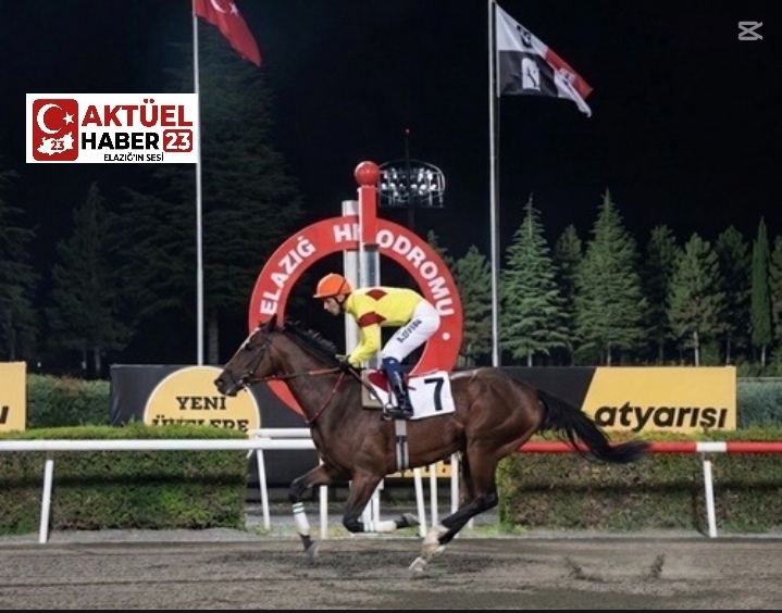 Elazığ Belediye Başkanlığı Koşusu’nda galibiyete uzanan Tribal Chief oldu