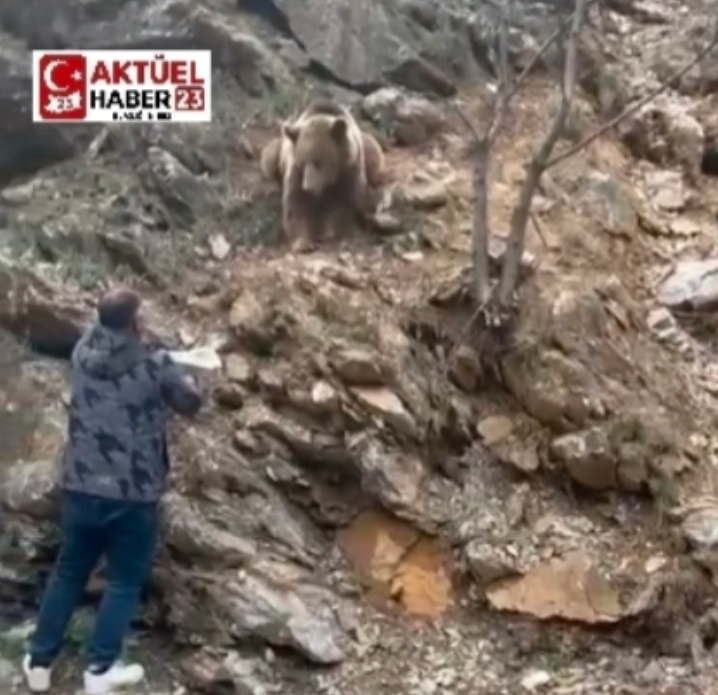 Ölümle Kurabiye Randevusu