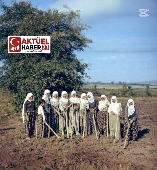 Elazığ’da Kadın İsterse Kazma da Tutar, Kalem de