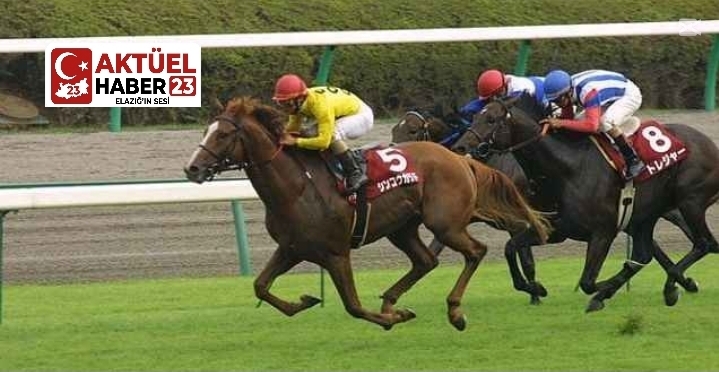 Elazığ’da Yarış Heyecanı Sürüyor: 63 Safkan Pistte!