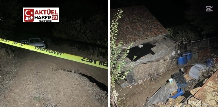 Bursa’da dedesini ve babaannesini “zengin olma” hayaliyle öldüren