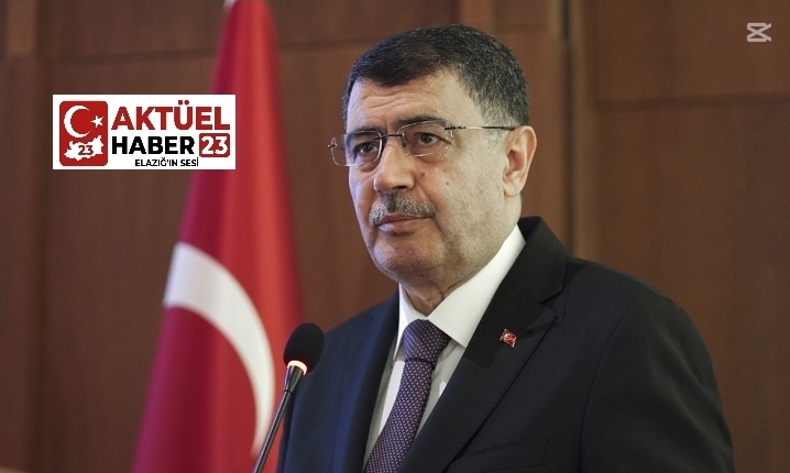 Ankara Valisi Vasip Şahin TİHEK başkanlığına atandı