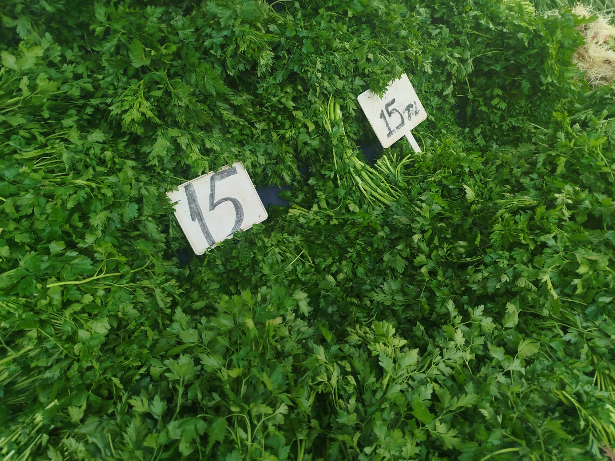 Elazığ Pazrlarında Biber El Yakıyor