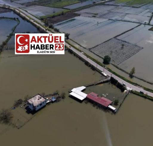 Manisa’da Nehir Taşkını: Tarım Arazileri ve Bağ Evleri Sular Altında