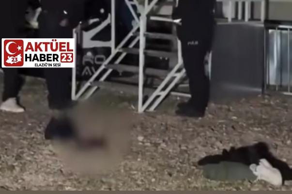 Edirne’de Lunapark Faciası