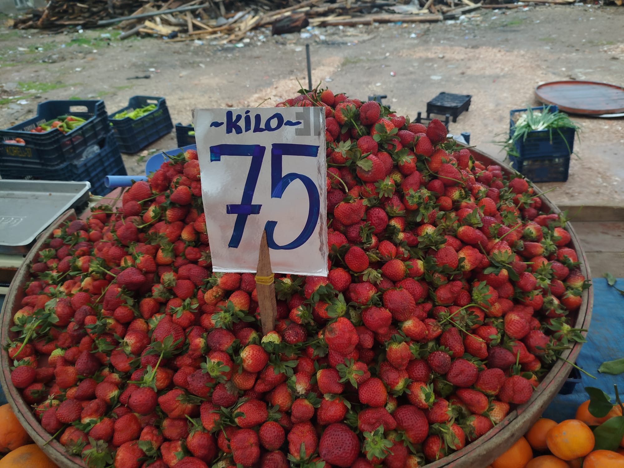Elazığ’da Semt Pazarında Geçim İsyanı