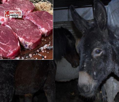 Vatandaşa At Ve Eşek Eti Yedirdiler