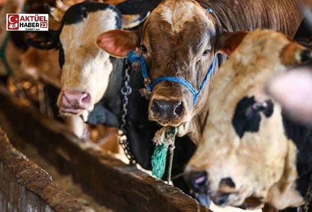 Vekaletle Kurban Kesim Fiyatları Belirlendi