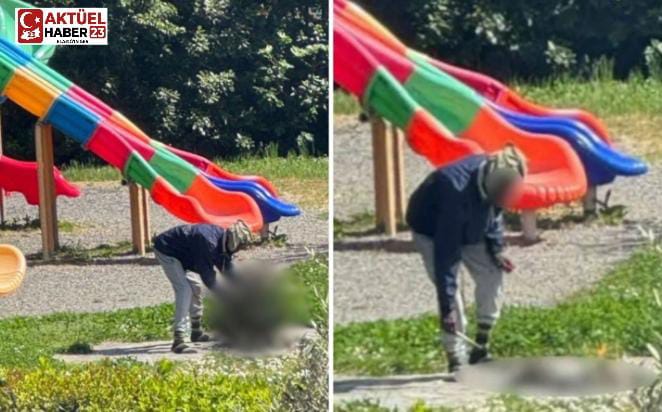 Herkesin gözü önünde öldürdüğü kediyi pişirmeye çalıştı