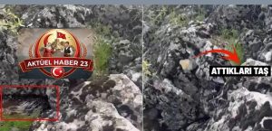 Diyarbakır’da  Korkup Taşa Tuttukları Şey Bakın Ne Çıktı