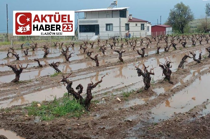 Elazığ’da Dolu ve Sağanak Yağış Sele Neden Oldu!
