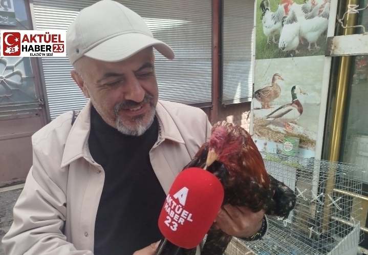 Elazığ’da 4 Bin TL’lik Hint Dövüş Horozu! Alıcısını Bekliyor