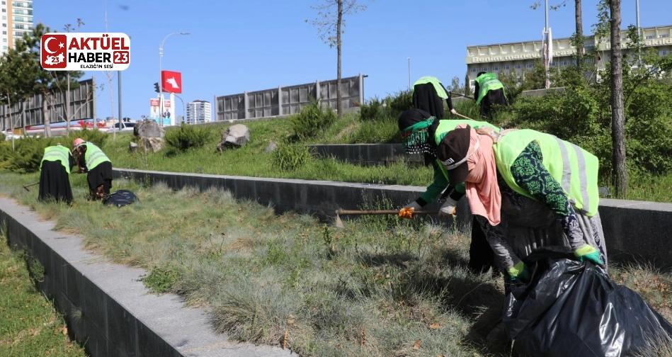 Elazığ Belediyesi Millet Bahçesi’nde bakım, onarım ve yenileme çalışmalarını sürdürüyor.