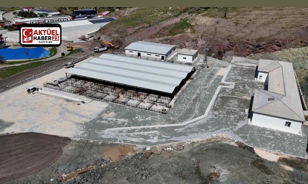 Elazığ Belediyesi yaklaşan Kurban Bayramı öncesinde kurban satış ve kesim alanında hazırlık çalışmalarına başladı.