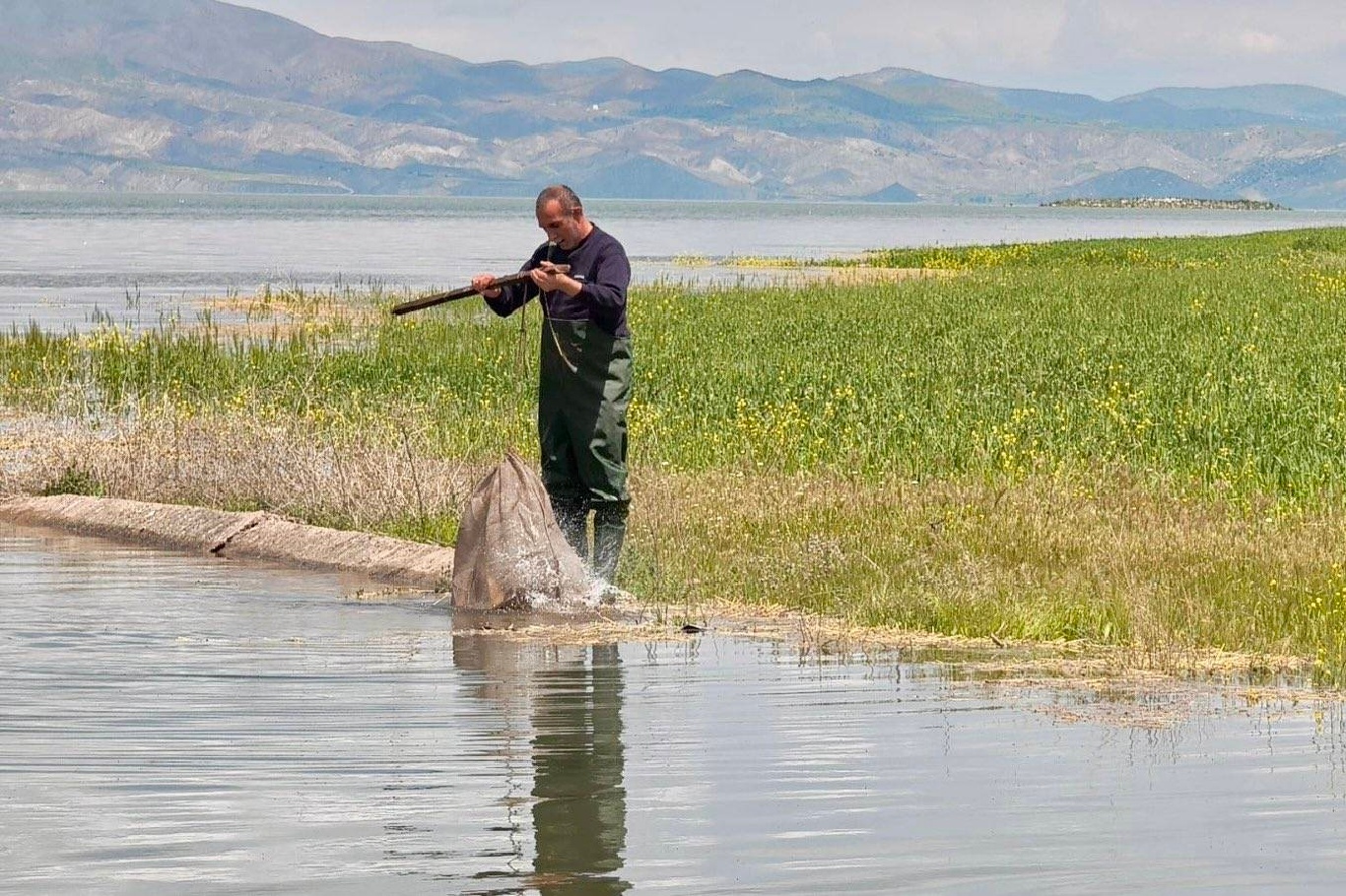 Elazığ’da kaçak avlanan 7,5 ton balık ele geçirildi