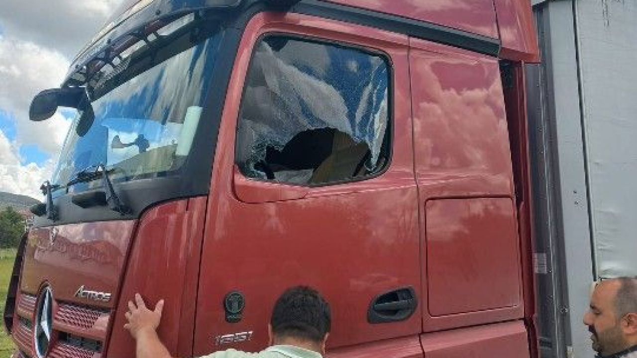 Park halinde duran bir tırın içerisinde, 60 yaşlarında bir sürücü ölü bulundu.