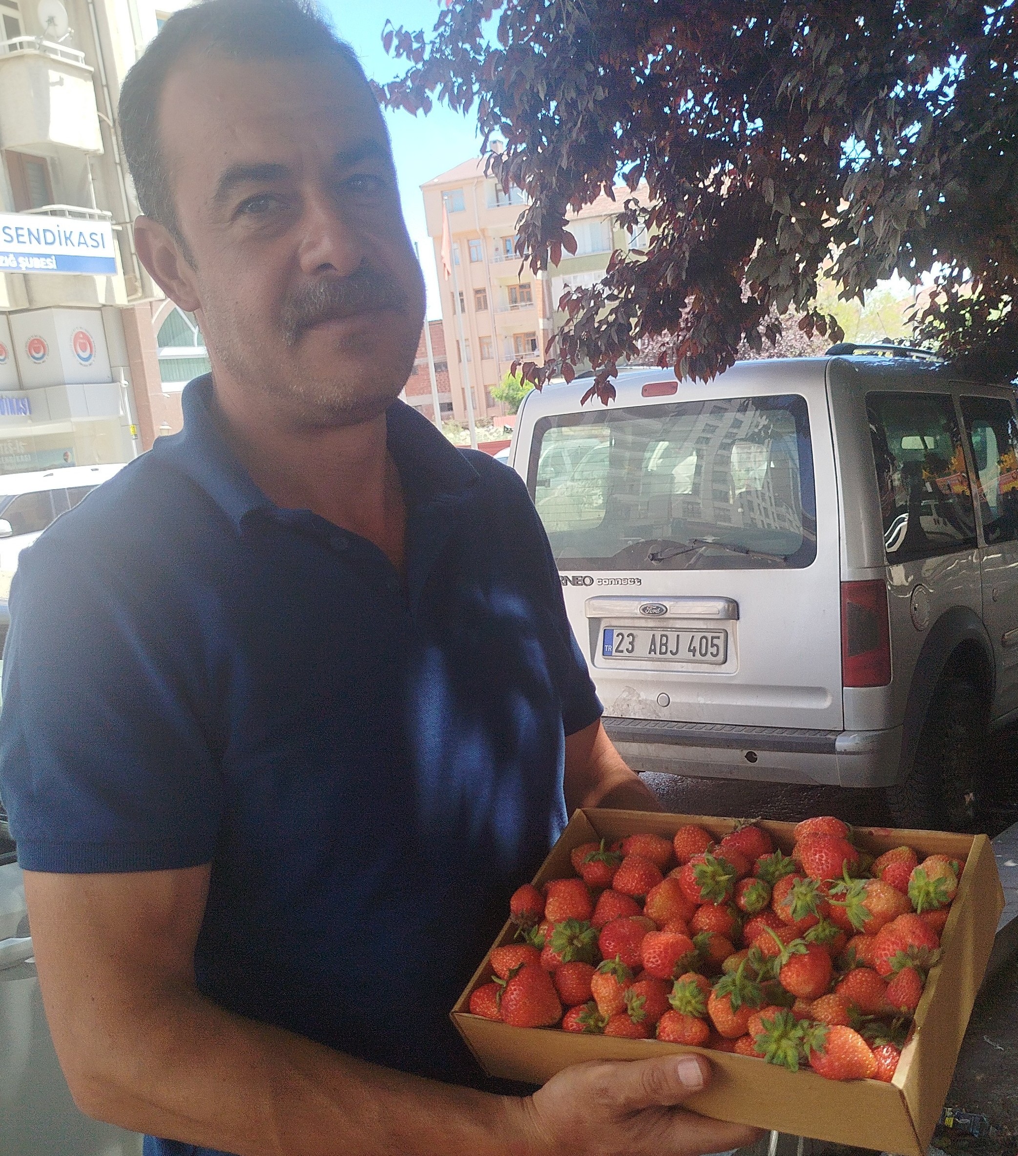 🍓 Elazığ’da Yerli Çilek Tezgâhlardaki Yerini Aldı! Mis Kokusuyla Yazın Habercisi Oldu