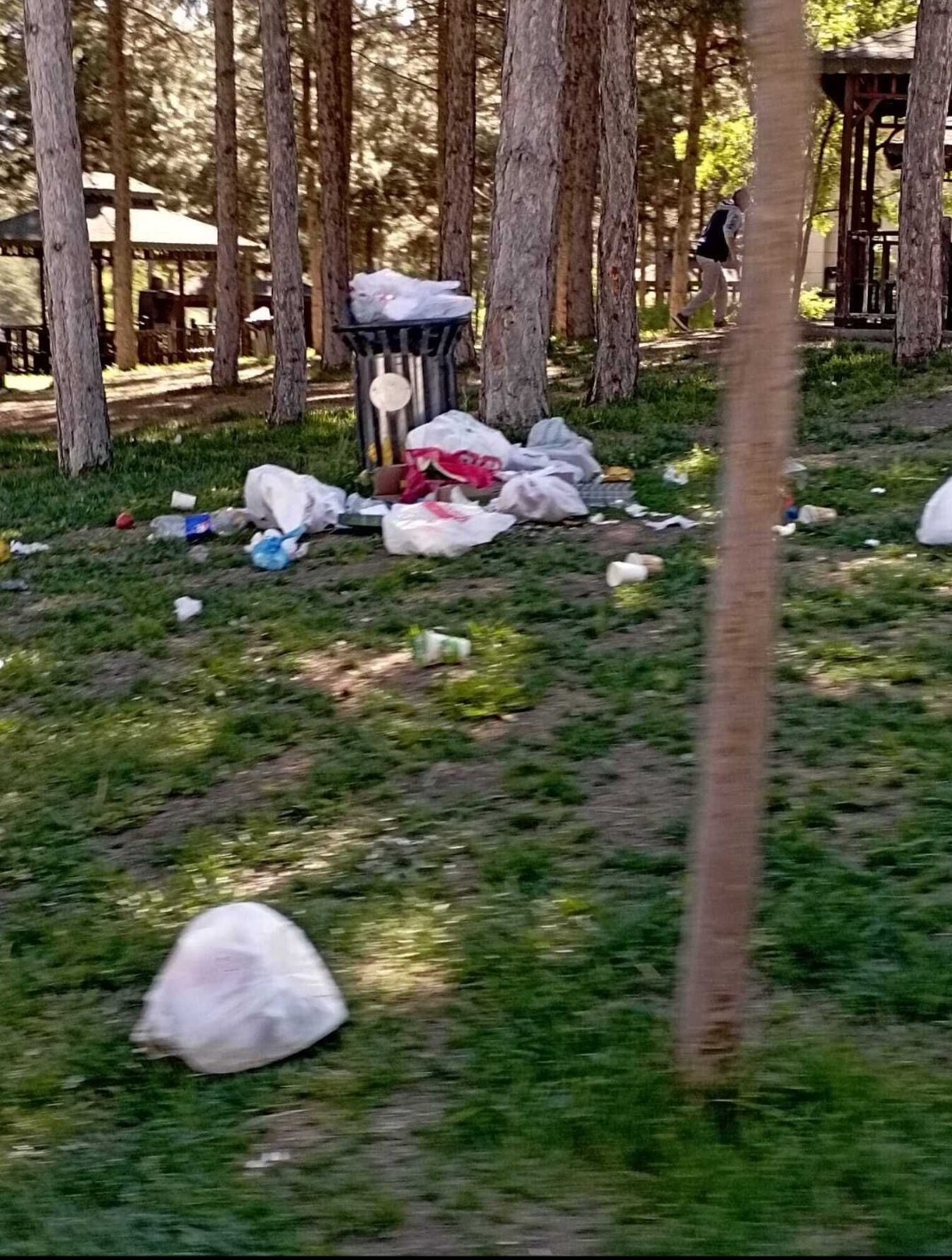 Mesire Alanı Değil, Adeta Enkaz Alanı