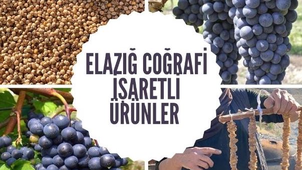 TESCİLLİ 9 ÜRÜNÜMÜZ VAR